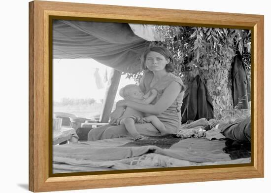 Refugees of the Drought of the Dust Bowl-Dorothea Lange-Framed Stretched Canvas
