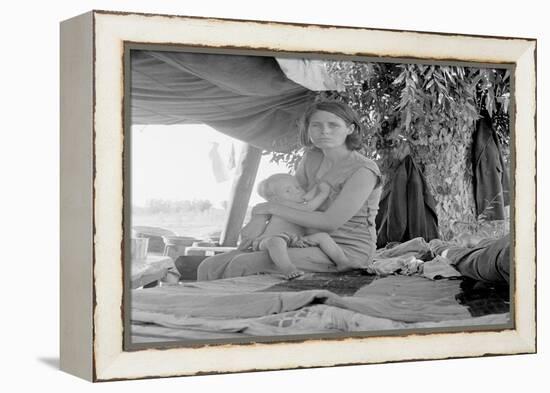 Refugees of the Drought of the Dust Bowl-Dorothea Lange-Framed Stretched Canvas