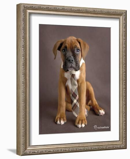 Regal 2-Rachael Hale-Framed Art Print