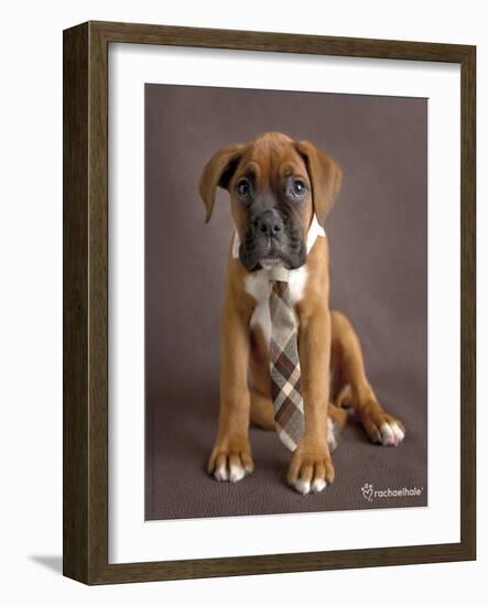 Regal 2-Rachael Hale-Framed Art Print