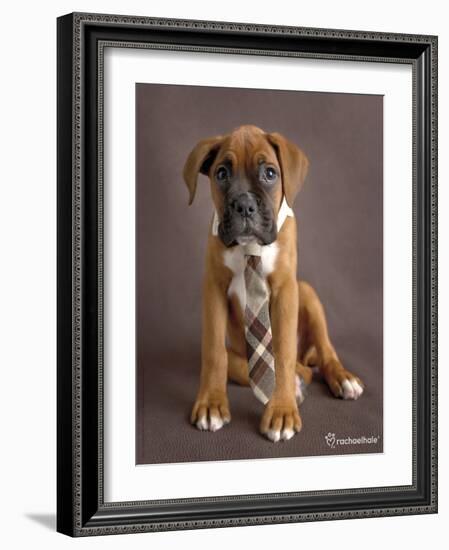 Regal 2-Rachael Hale-Framed Art Print