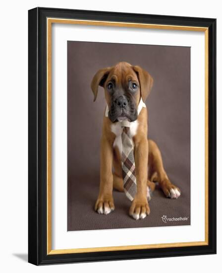 Regal 2-Rachael Hale-Framed Art Print