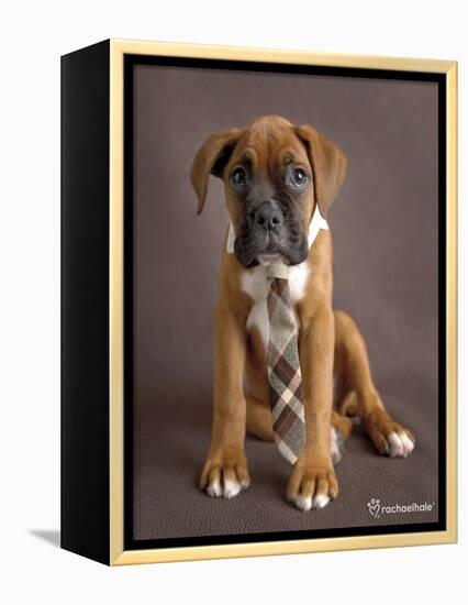 Regal 2-Rachael Hale-Framed Premier Image Canvas