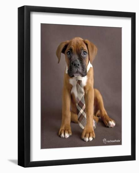 Regal 2-Rachael Hale-Framed Photographic Print