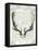 Regal Antlers on Newsprint II-Sue Schlabach-Framed Stretched Canvas