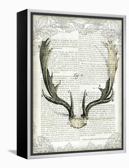 Regal Antlers on Newsprint II-Sue Schlabach-Framed Stretched Canvas