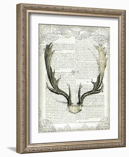 Regal Antlers on Newsprint II-Sue Schlabach-Framed Art Print