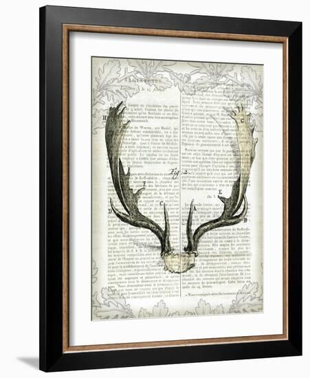 Regal Antlers on Newsprint II-Sue Schlabach-Framed Art Print