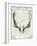 Regal Antlers on Newsprint II-Sue Schlabach-Framed Art Print