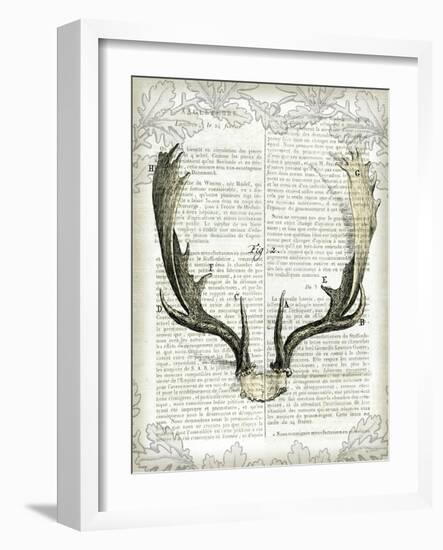 Regal Antlers on Newsprint II-Sue Schlabach-Framed Art Print