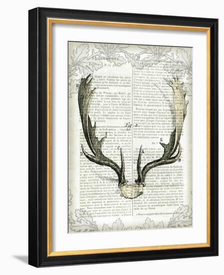 Regal Antlers on Newsprint II-Sue Schlabach-Framed Art Print