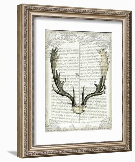 Regal Antlers on Newsprint II-Sue Schlabach-Framed Art Print