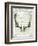 Regal Antlers on Newsprint II-Sue Schlabach-Framed Art Print