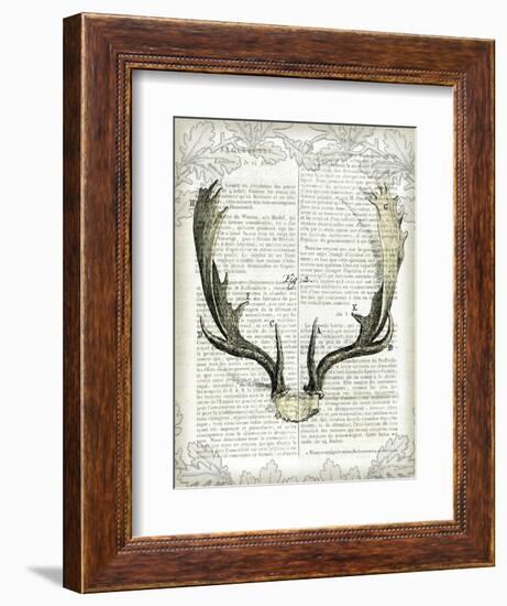 Regal Antlers on Newsprint II-Sue Schlabach-Framed Art Print