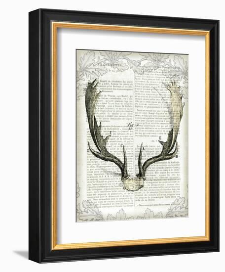 Regal Antlers on Newsprint II-Sue Schlabach-Framed Art Print