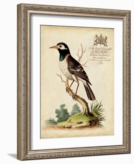 Regal Birds II-George Edwards-Framed Art Print