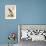 Regal Birds II-George Edwards-Framed Art Print displayed on a wall