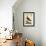 Regal Birds III-George Edwards-Framed Art Print displayed on a wall