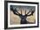 Regal Call-Staffan Widstrand-Framed Giclee Print