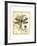 Regal Dragonfly I-Vision Studio-Framed Art Print