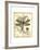 Regal Dragonfly I-Vision Studio-Framed Art Print