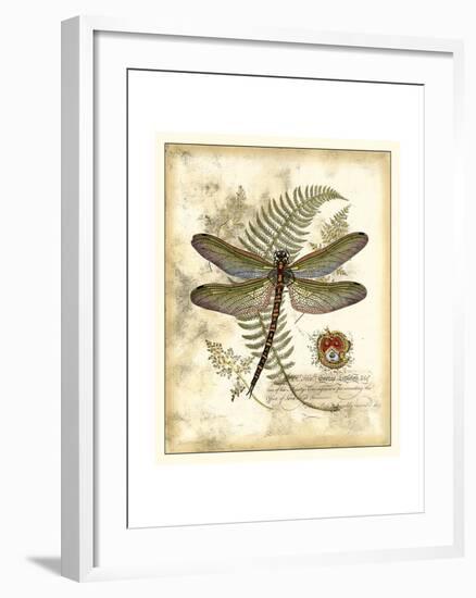 Regal Dragonfly I-Vision Studio-Framed Art Print