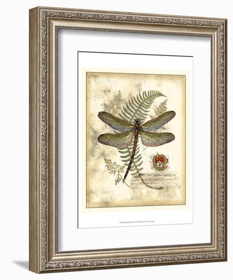 Regal Dragonfly I-Vision Studio-Framed Art Print