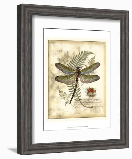 Regal Dragonfly I-Vision Studio-Framed Art Print