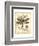 Regal Dragonfly I-Vision Studio-Framed Art Print