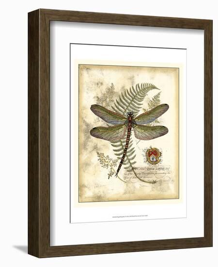 Regal Dragonfly I-Vision Studio-Framed Art Print