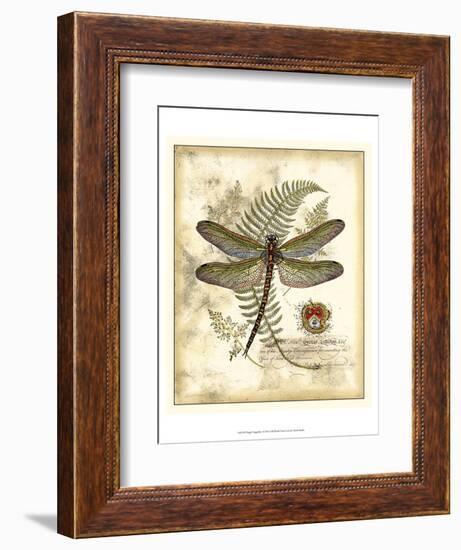 Regal Dragonfly I-Vision Studio-Framed Art Print