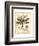 Regal Dragonfly I-Vision Studio-Framed Art Print