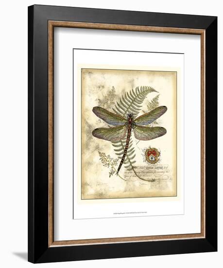 Regal Dragonfly I-Vision Studio-Framed Art Print