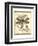 Regal Dragonfly I-Vision Studio-Framed Art Print