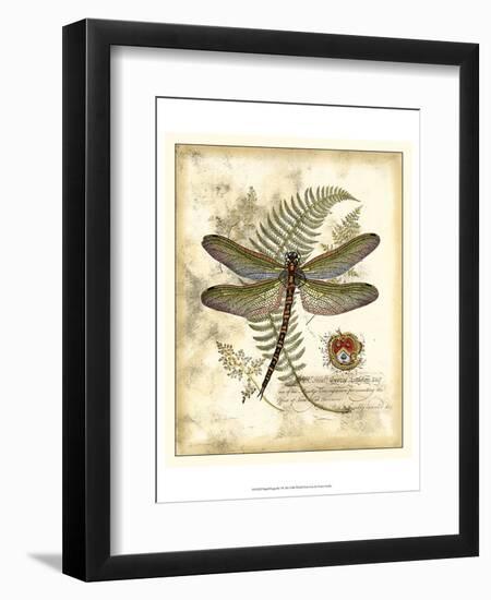 Regal Dragonfly I-Vision Studio-Framed Art Print