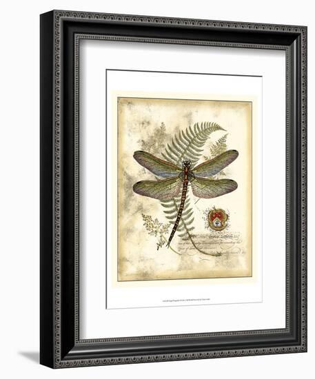 Regal Dragonfly I-Vision Studio-Framed Art Print