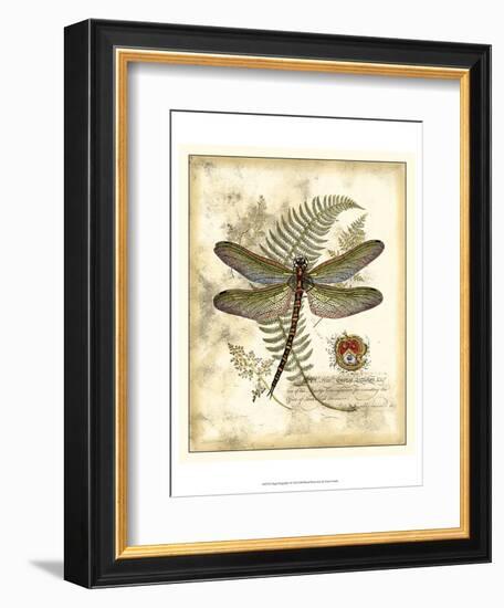 Regal Dragonfly I-Vision Studio-Framed Art Print