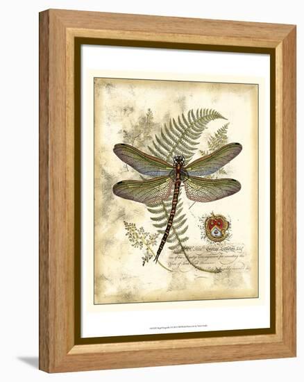 Regal Dragonfly I-Vision Studio-Framed Stretched Canvas