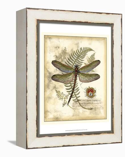 Regal Dragonfly I-Vision Studio-Framed Stretched Canvas