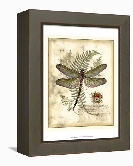 Regal Dragonfly I-Vision Studio-Framed Stretched Canvas