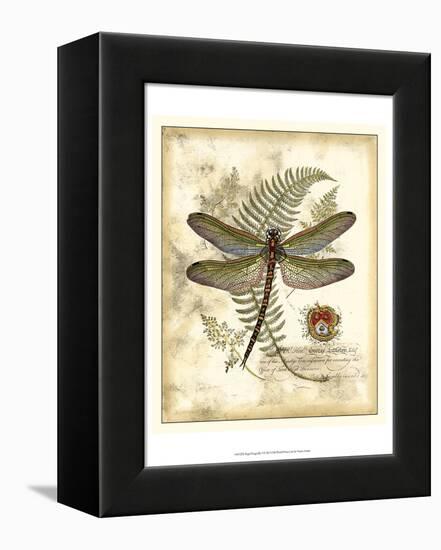 Regal Dragonfly I-Vision Studio-Framed Stretched Canvas