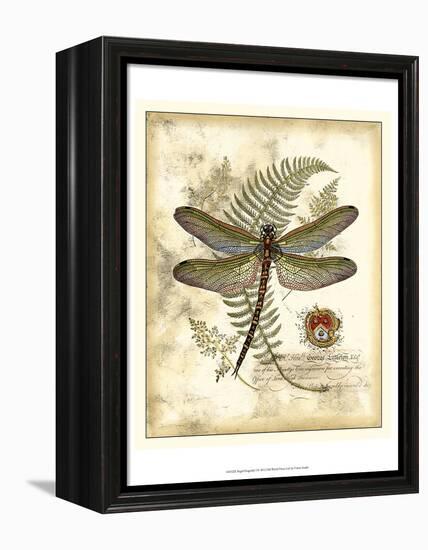 Regal Dragonfly I-Vision Studio-Framed Stretched Canvas