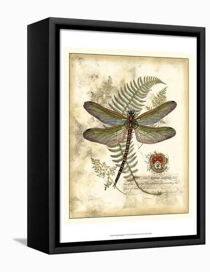 Regal Dragonfly I-Vision Studio-Framed Stretched Canvas