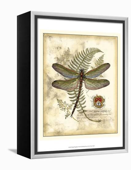 Regal Dragonfly I-Vision Studio-Framed Stretched Canvas