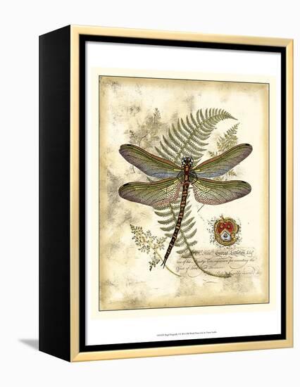 Regal Dragonfly I-Vision Studio-Framed Stretched Canvas