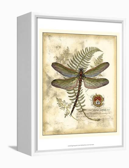 Regal Dragonfly I-Vision Studio-Framed Stretched Canvas