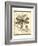 Regal Dragonfly I-Vision Studio-Framed Art Print