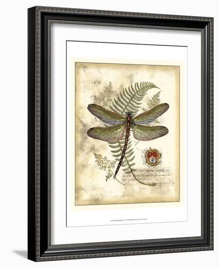 Regal Dragonfly I-Vision Studio-Framed Art Print