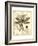 Regal Dragonfly I-Vision Studio-Framed Art Print