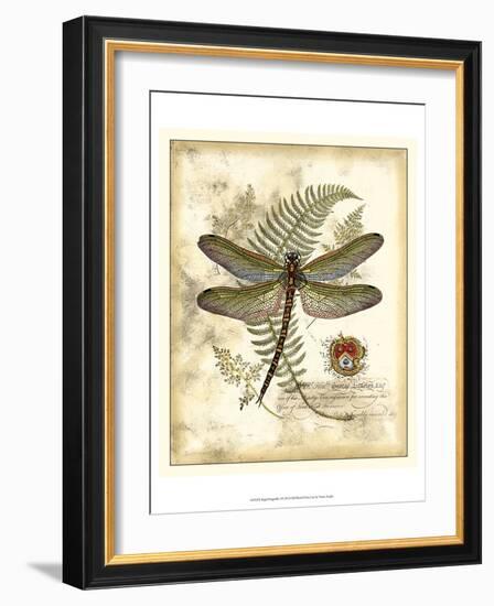 Regal Dragonfly I-Vision Studio-Framed Art Print